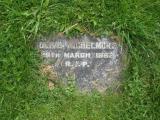 image of grave number 244880
